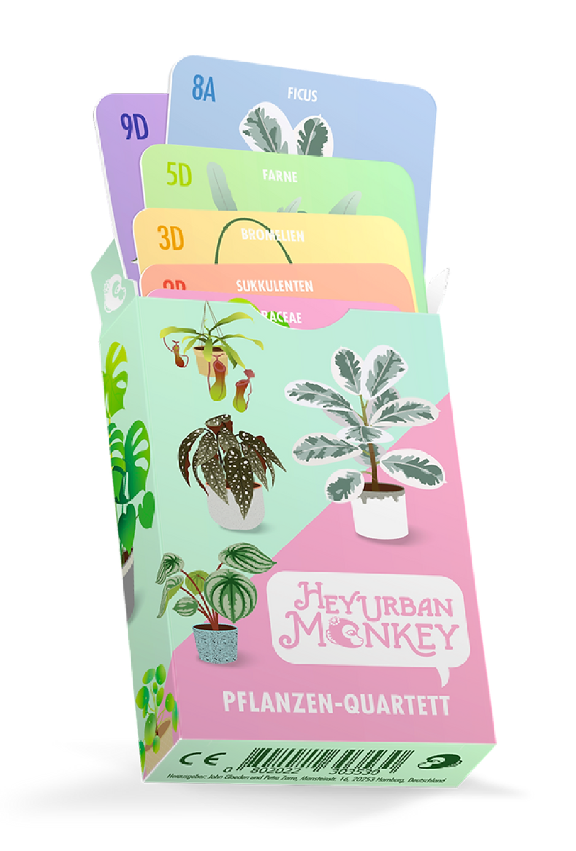 Pflanzen-Quartett Box
